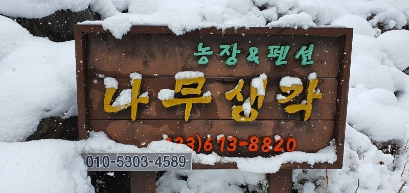 나무생각농장,나무생각농장 유기농 산마늘(명이나물) 1kg